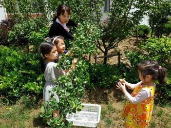 �Žǰ����ϱ�(2018.8.25)��ġ�� ÷���̹���