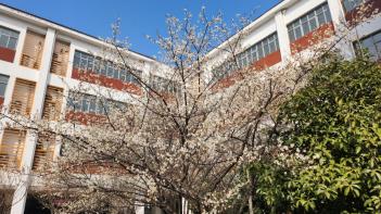 �б� ������ �� ���� �����ϴ� �ɵ� ÷���̹���