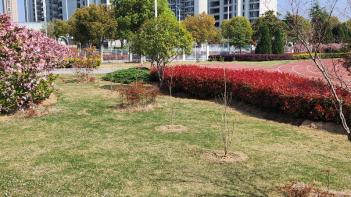 ���� 10��, ���� 12�� ��� �ļ� ÷���̹���